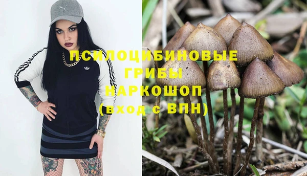 jwh Тавда
