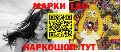 молекула духа Будённовск