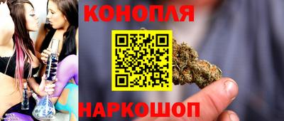 молекула духа Будённовск