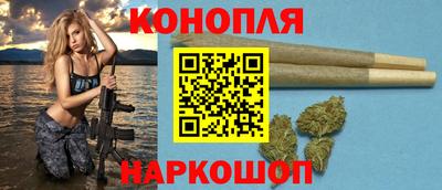 молекула духа Будённовск