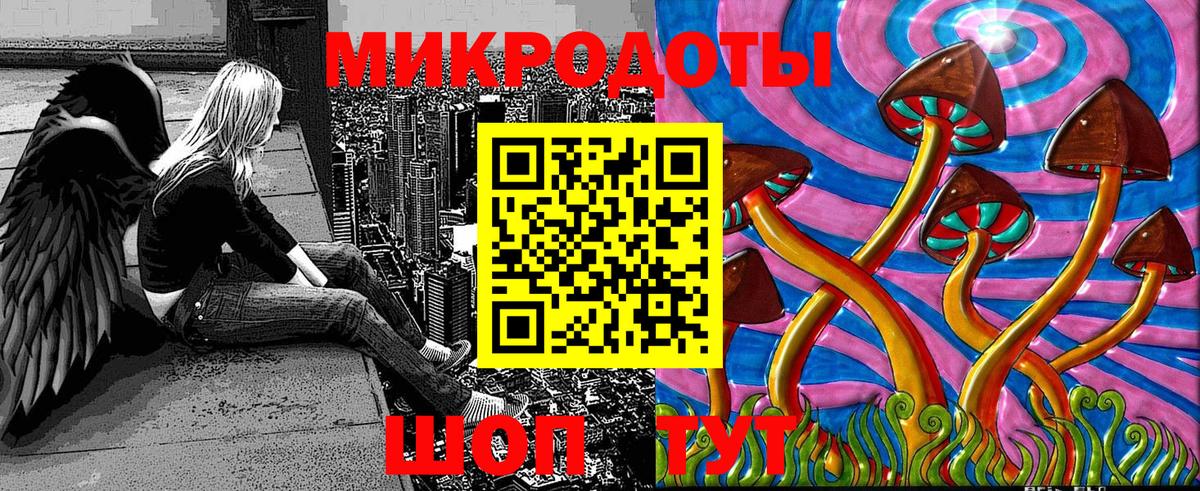 где можно купить   Тутаев  Псилоцибиновые грибы GOLDEN TEACHER 