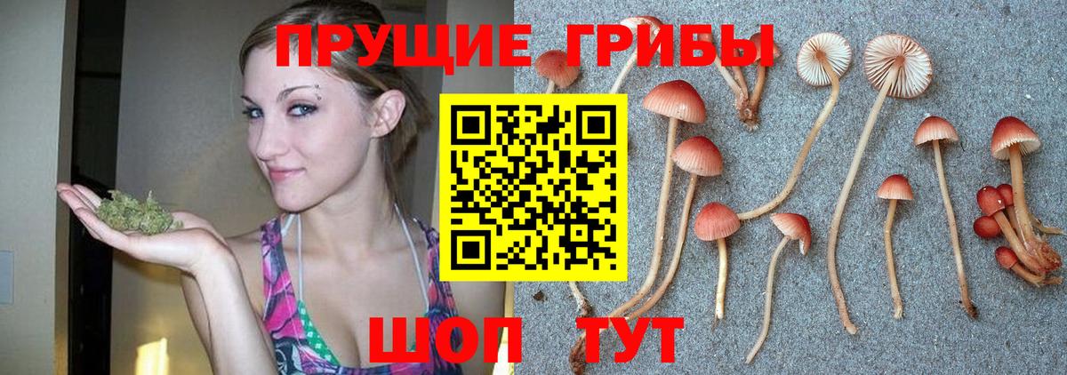 Псилоцибиновые грибы ЛСД Тутаев